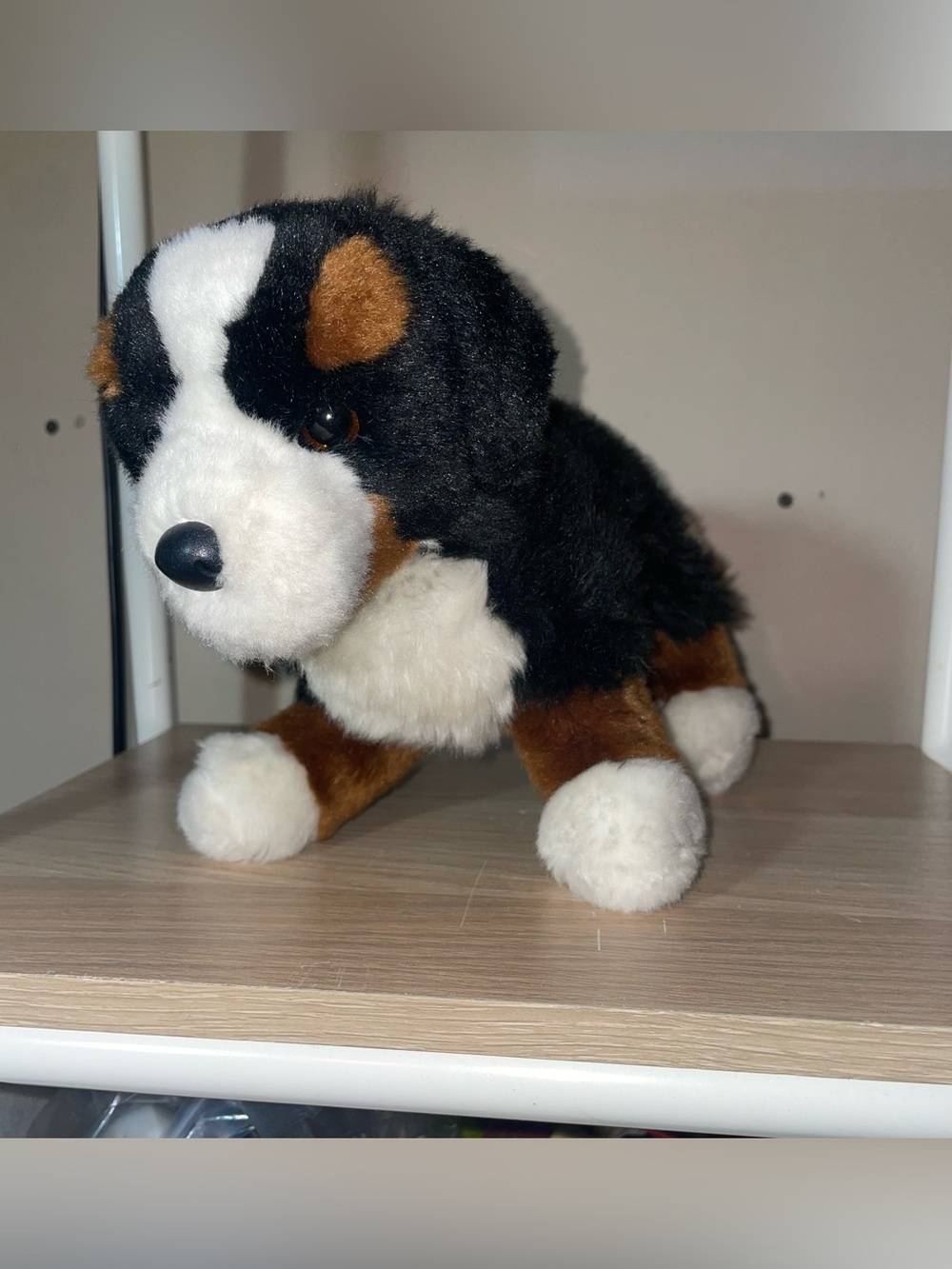 Douglas Cuddle Toys Stevie Bernese Mountain Dog 10" Plush